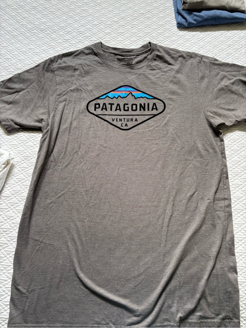 Patagonia Gray Short-Sleeve Logo Tee with Blue Accent